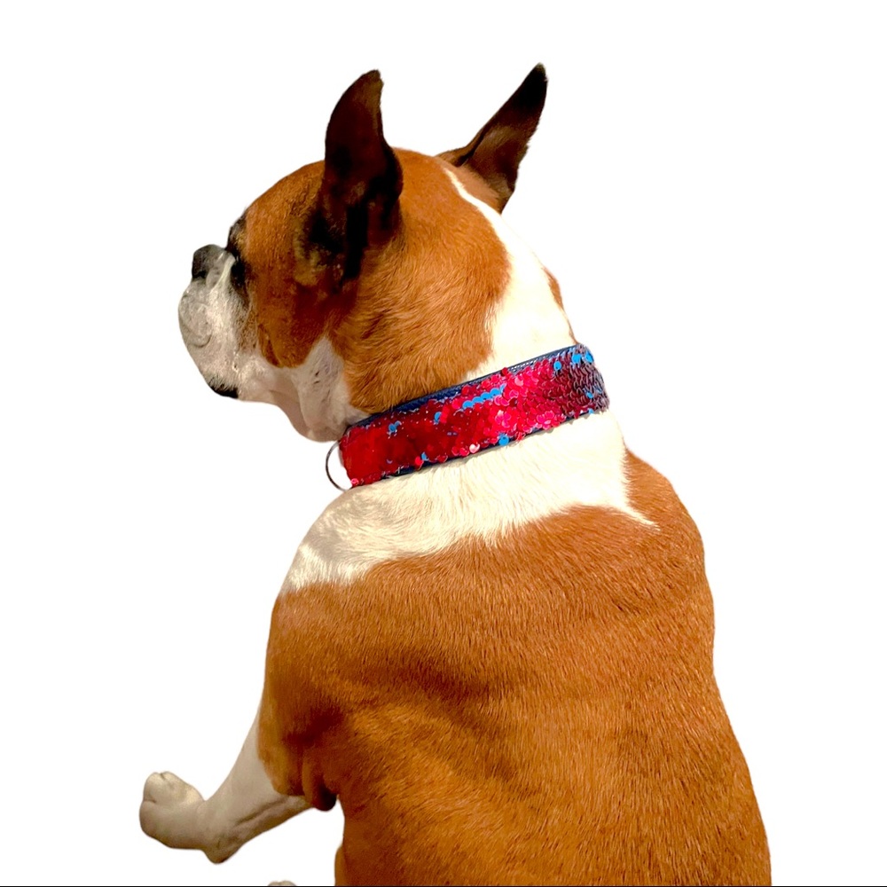 Star spangled glam sequin collar